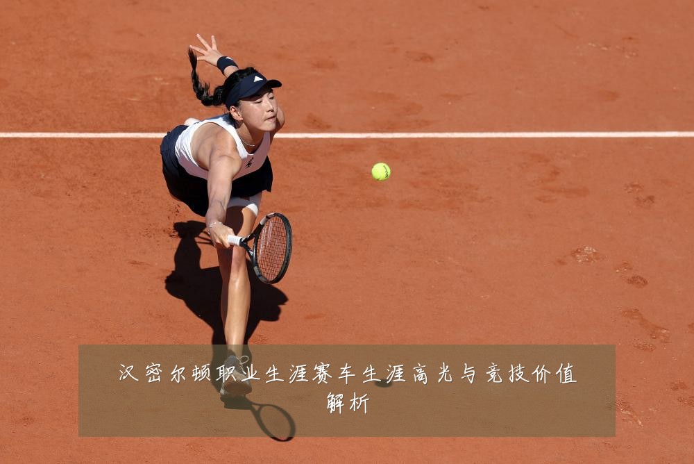 汉密尔顿职业生涯赛车生涯高光与竞技价值解析